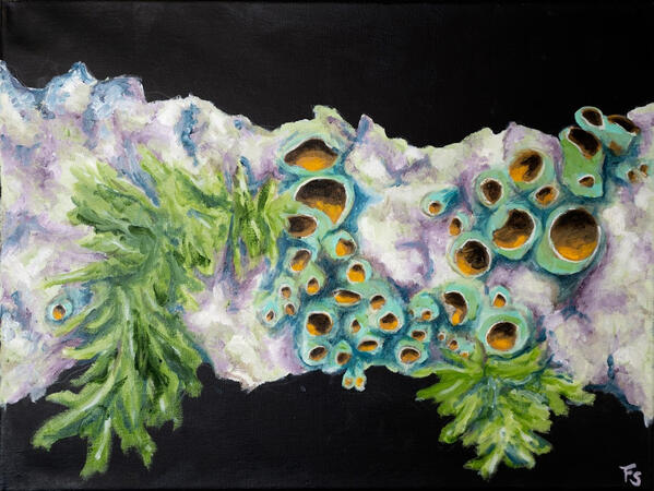 Oil on canvas